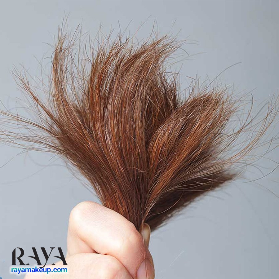 برای درمان موخوره از چه روغن گیاهی استفاده کنیم؟