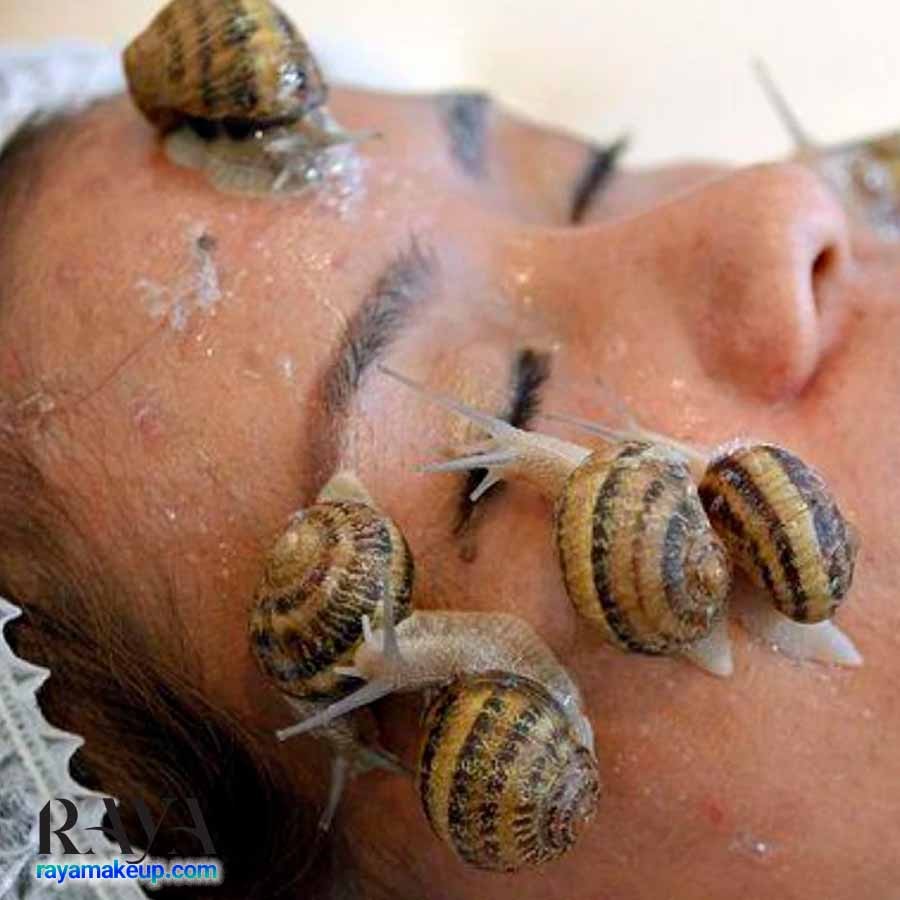 موسین حلزون برای پوست: موارد استفاده، فواید و عوارض جانبی
