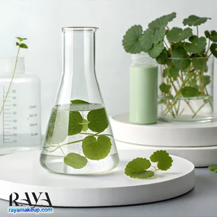 فواید سنتلا آسیاتیکا برای پوست (Centella Asiatica)