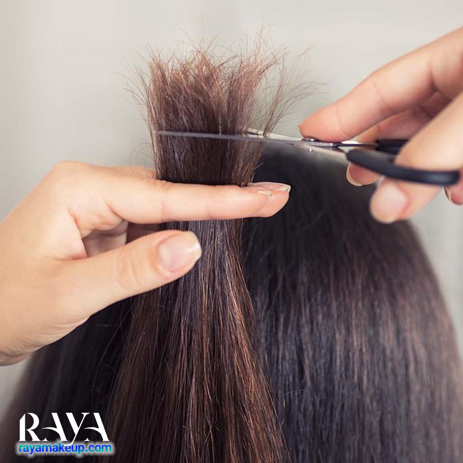اهمیت کوتاه کردن موخوره انتهای موها: آیا حتما باید موخوره ها را کوتاه کنیم؟ 