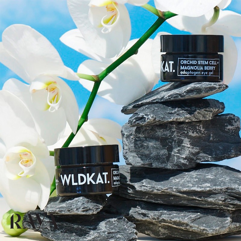 ژل دورچشم آداپتوژن حاوی سلول بنیادی ارکیده و توت ماگنولیا ولدکت Wldkat Orchid Stem Cell + Magnolia Berry Adaptogen Eye Gel