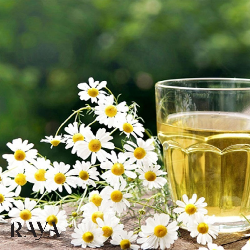 آشنایی با فواید عصاره گیاهی و روغن بابونه بر پوست و مو