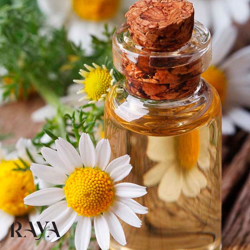 آشنایی با فواید عصاره گیاهی و روغن بابونه بر پوست و مو