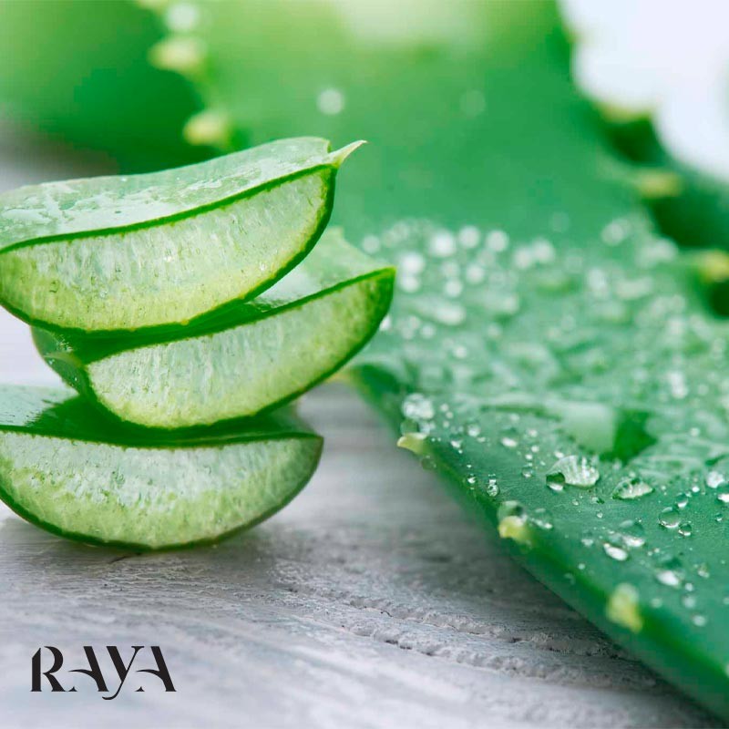 ژل آلوئه ورا دکتر باربارا استورم Dr. Barbara Sturm Aloe Vera Gel