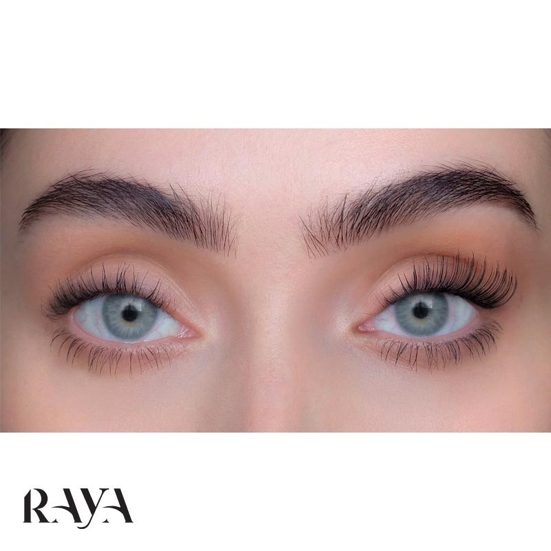 مژه مصنوعی مشکی سویید بیوتی مدل رامینا Sweed Pro Lashes - Ramina