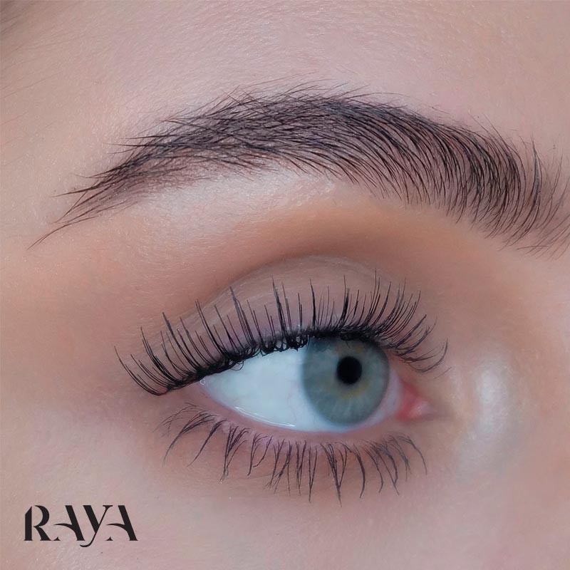 مژه مصنوعی مشکی سویید بیوتی مدل رامینا Sweed Pro Lashes - Ramina