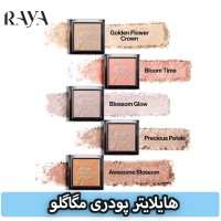 هایلایتر پودری مگاگلو وت اند وایلد