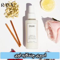 اسپری چندکاره حالت دهنده مو و محافظ حرارتی اوی مدل لیو این کاندیشنر