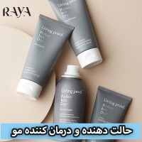 حالت دهنده و درمان کننده مو 5 در 1 لیوینگ پروف مدل Perfect Hair Day حجم 30 و 60 میل