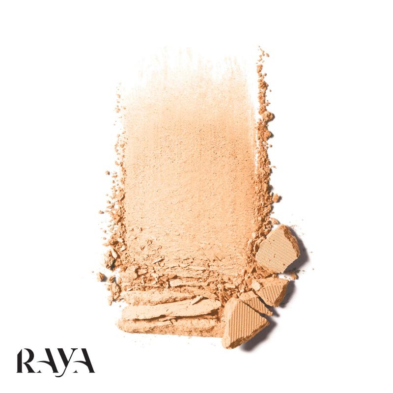 پنکیک و پودر فشرده استی مات شیر کلینیک Clinique Stay-Matte Sheer Pressed Powder