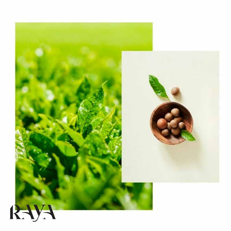 کرم آبرسان و مرطوب کننده پوست حاوی چای سبز اینیسفری Innisfree Green Tea Balancing Cream EX
